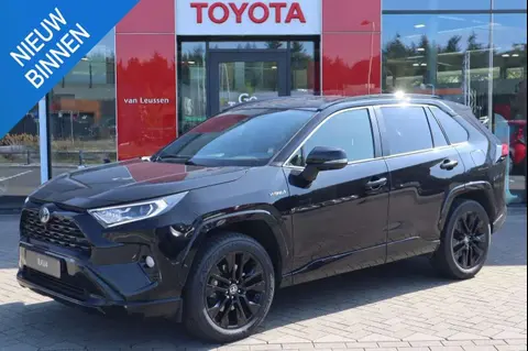 Used TOYOTA RAV4 Hybrid 2021 Ad 