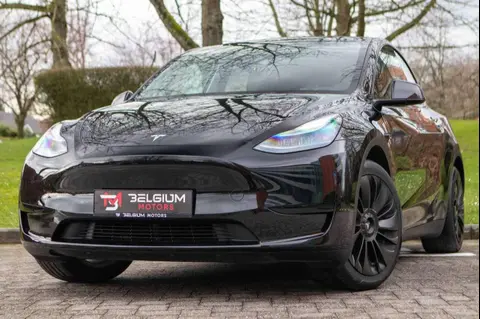 Used TESLA MODEL Y Electric 2023 Ad Belgium