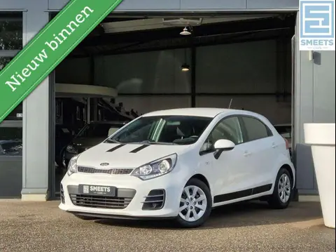 Annonce KIA RIO Essence 2015 d'occasion 