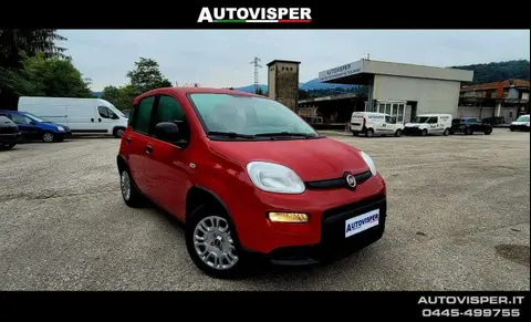 Used FIAT PANDA Hybrid 2024 Ad 