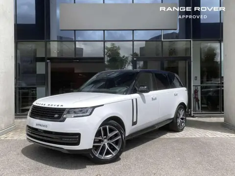 Annonce LAND ROVER RANGE ROVER  2024 d'occasion 