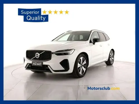 Used VOLVO XC60 Hybrid 2024 Ad 