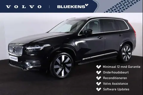 Used VOLVO XC90 Hybrid 2024 Ad 