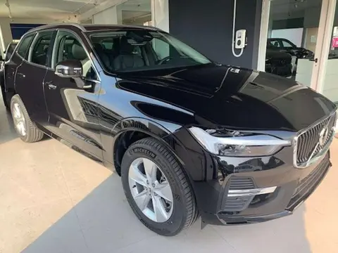 Annonce VOLVO XC60 Diesel 2024 d'occasion 