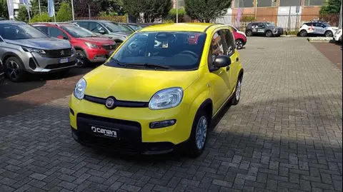 Used FIAT PANDA Hybrid 2024 Ad 