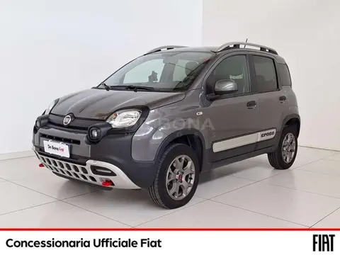 Annonce FIAT PANDA Essence 2020 d'occasion 