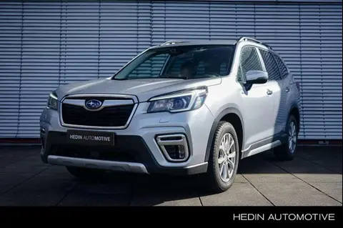 Used SUBARU FORESTER Hybrid 2020 Ad 