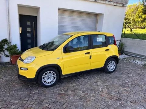 Used FIAT PANDA Hybrid 2024 Ad 