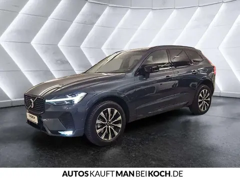 Annonce VOLVO XC60 Diesel 2023 d'occasion 