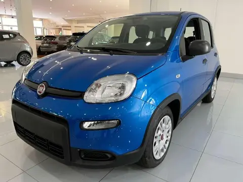 Used FIAT PANDA Hybrid 2024 Ad 