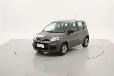 Used FIAT PANDA Petrol 2020 Ad 