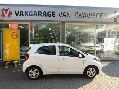 Used KIA PICANTO Petrol 2021 Ad 