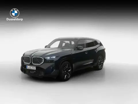 Annonce BMW XM Hybride 2024 d'occasion 