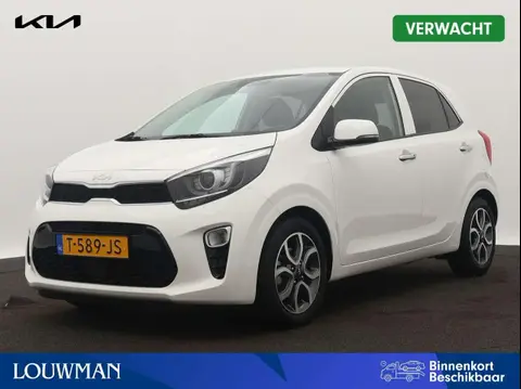 Used KIA PICANTO Petrol 2023 Ad 