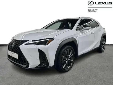 Annonce LEXUS UX Hybride 2023 d'occasion 