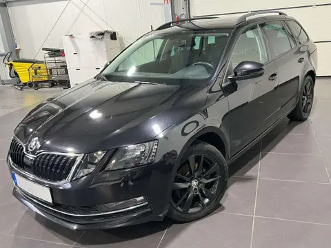 Used SKODA OCTAVIA Diesel 2019 Ad 