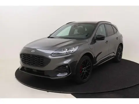 Annonce FORD KUGA Hybride 2023 d'occasion 