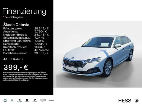 Annonce SKODA OCTAVIA Diesel 2023 d'occasion 