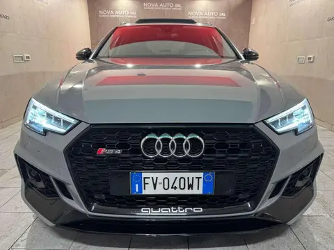 Used AUDI RS4 Petrol 2018 Ad 