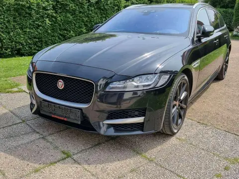 Used JAGUAR XF Diesel 2017 Ad 