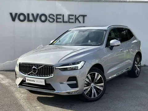 Annonce VOLVO XC60 Diesel 2023 d'occasion 