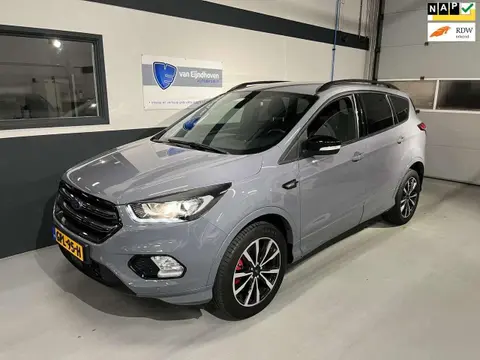 Used FORD KUGA Petrol 2019 Ad 