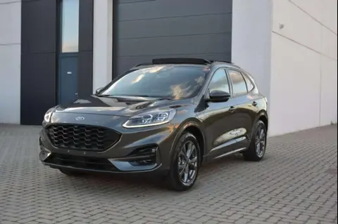 Annonce FORD KUGA Hybride 2021 d'occasion 