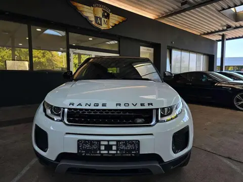 Used LAND ROVER RANGE ROVER EVOQUE Diesel 2019 Ad 