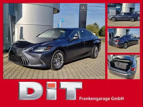 Used LEXUS ES Hybrid 2024 Ad 