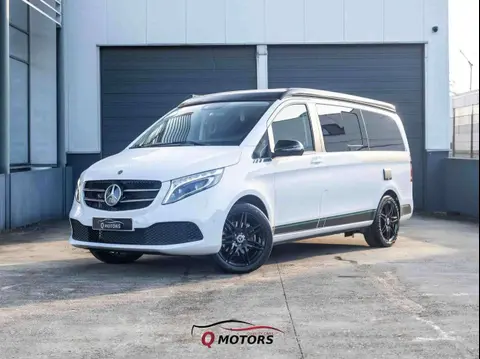 Annonce MERCEDES-BENZ MARCO POLO Diesel 2023 d'occasion 