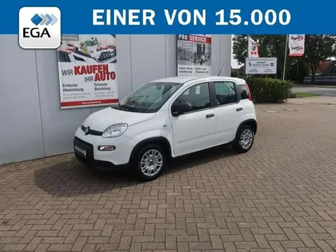 Used FIAT PANDA Petrol 2023 Ad 