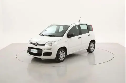 Used FIAT PANDA Petrol 2020 Ad 