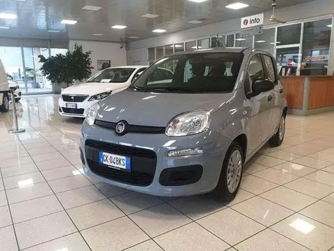 Annonce FIAT PANDA Hybride 2022 d'occasion 