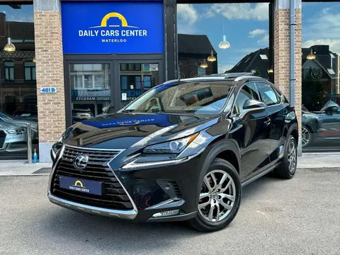 Used LEXUS NX Hybrid 2019 Ad Belgium