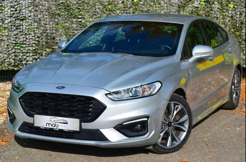 Annonce FORD MONDEO Diesel 2020 d'occasion 