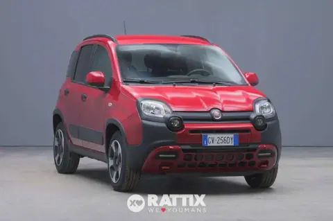 Used FIAT PANDA Hybrid 2024 Ad 