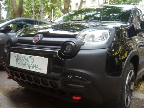 Annonce FIAT PANDA Hybride 2024 d'occasion 