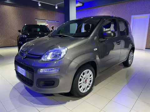 Used FIAT PANDA Hybrid 2022 Ad 