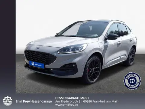 Annonce FORD KUGA Hybride 2024 d'occasion 