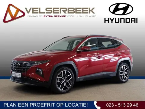 Used HYUNDAI TUCSON Hybrid 2021 Ad 