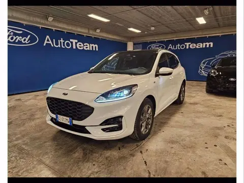 Used FORD KUGA Diesel 2021 Ad 