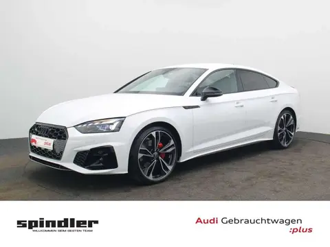 Used AUDI A5 Diesel 2024 Ad 