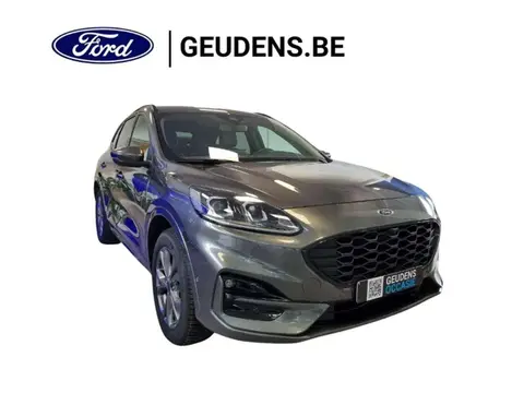 Used FORD KUGA Hybrid 2023 Ad 