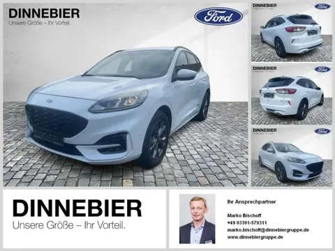 Used FORD KUGA Hybrid 2021 Ad 