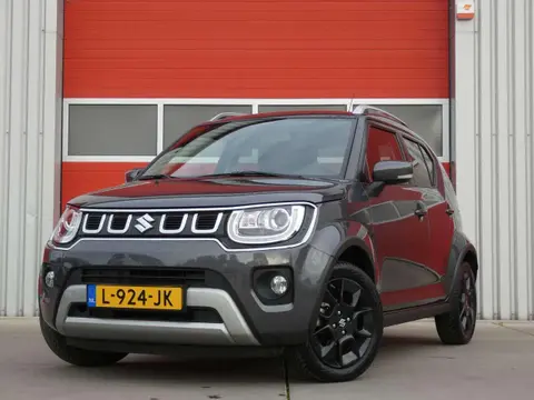 Annonce SUZUKI IGNIS Hybride 2021 d'occasion 