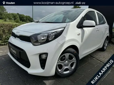 Used KIA PICANTO Petrol 2024 Ad 