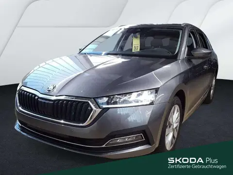 Used SKODA OCTAVIA Petrol 2024 Ad 