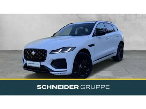 Used JAGUAR F-PACE Diesel 2024 Ad 