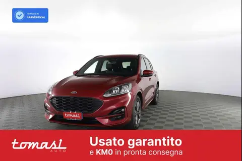 Used FORD KUGA Hybrid 2023 Ad 