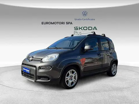 Annonce FIAT PANDA Essence 2022 d'occasion 